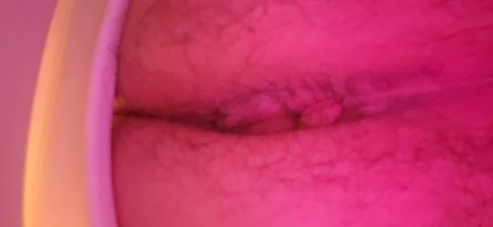 1000032287.jpg - gerard696