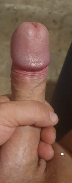 3140.jpg