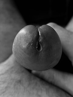 IMG_5502.jpeg