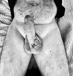 IMG_5280.jpeg