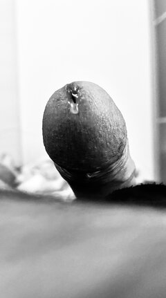IMG_5813.jpeg
