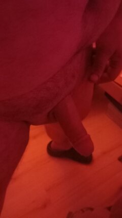 20251208_021238.jpg