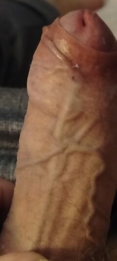 1000003526.jpg