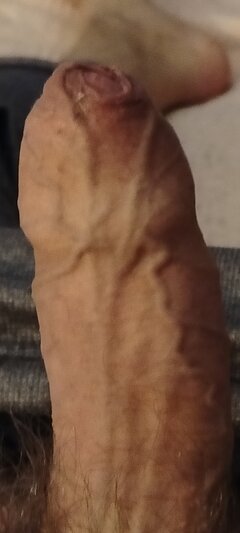 1000003524.jpg