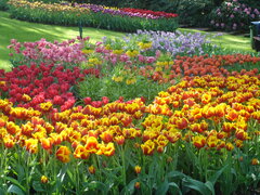 DSC02456.JPG