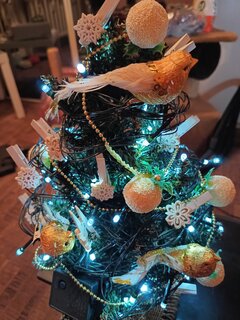 IMG_20251212_221016461_HDR.jpg