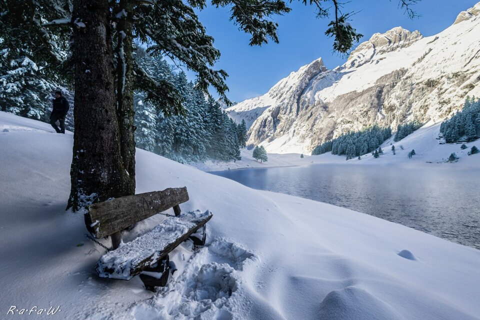 Seealpsee 🤩 - CoraPearl