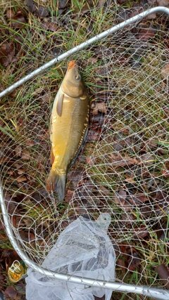 IMG_20251215_075545.jpg