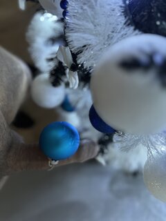 IMG_9722.jpeg