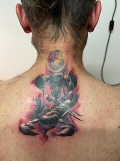IMG_1908.jpeg