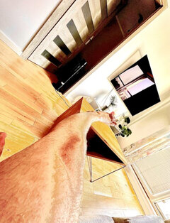 IMG_5293.jpeg