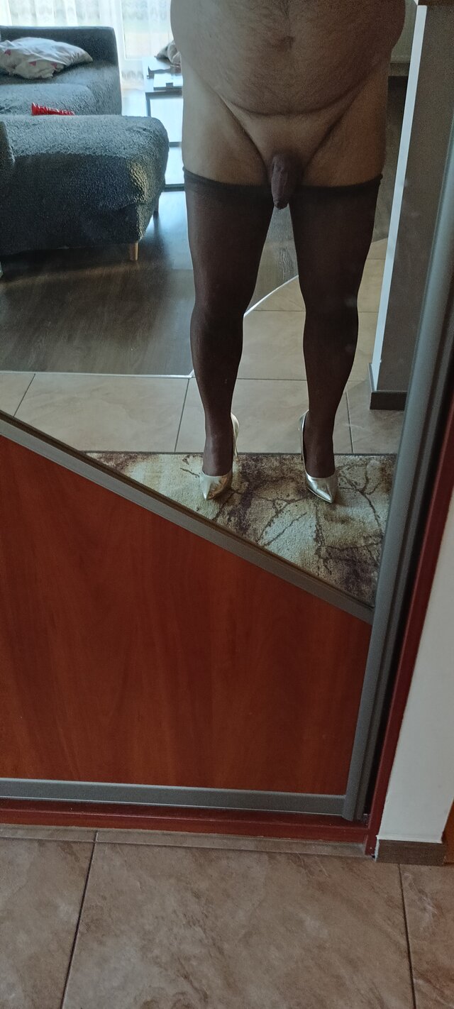 LucynaTrans