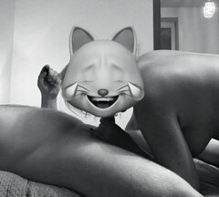 373.jpg