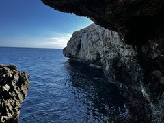 IMG_1339.jpeg