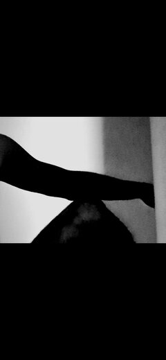 Screenshot_20251222_203122_Gallery.jpg