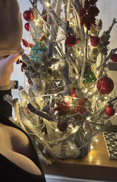 IMG_4094.jpeg