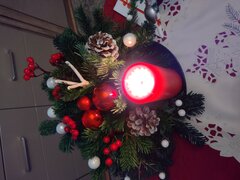 IMG_20251224_174424115.jpg