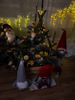 IMG_5375.jpeg