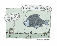 plany.jpg