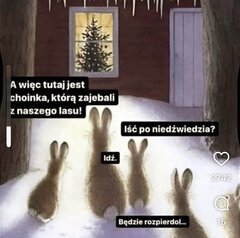 IMG_4622.jpeg