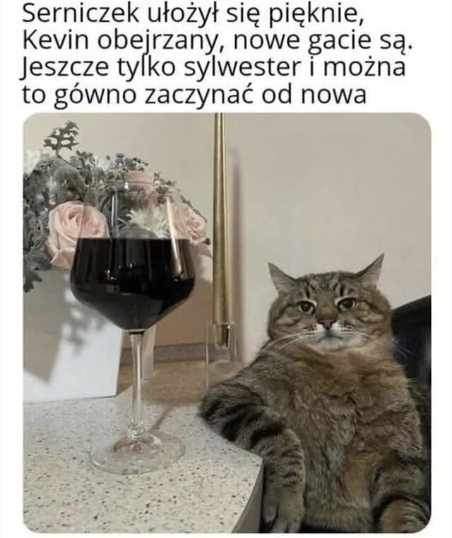 tomasz1108