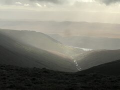 IMG_2704.jpeg