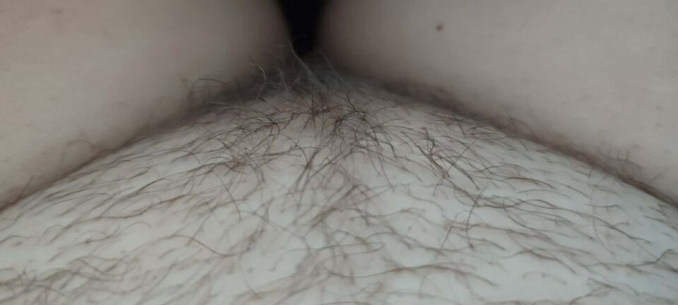 1000037063.jpg - gregor31