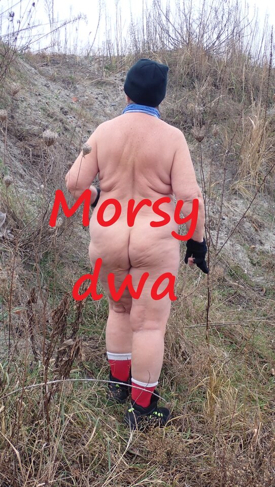 Suche morsowanie. 26 grudzień 2025. - Morsy_dwa
