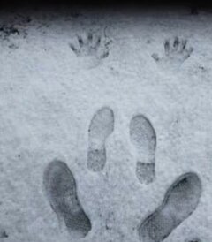 Screenshot_20251229_220541_YouTube.jpg