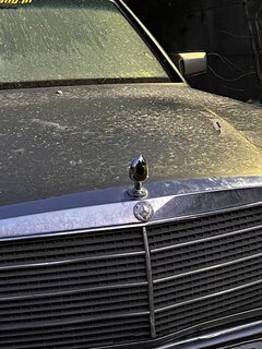 IMG_5446.jpeg