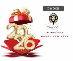 2026 Happy New Year