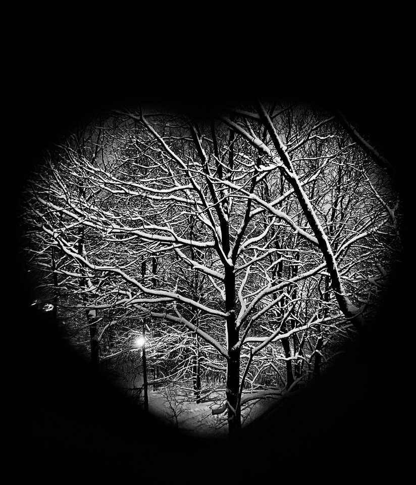 IMG_5750.jpeg - erwu73