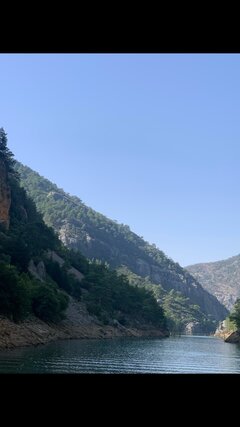 IMG_3360.jpeg