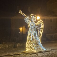 IMG_5429.jpeg