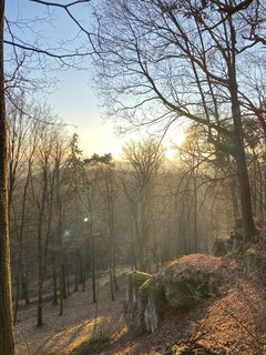 IMG_4308.jpeg