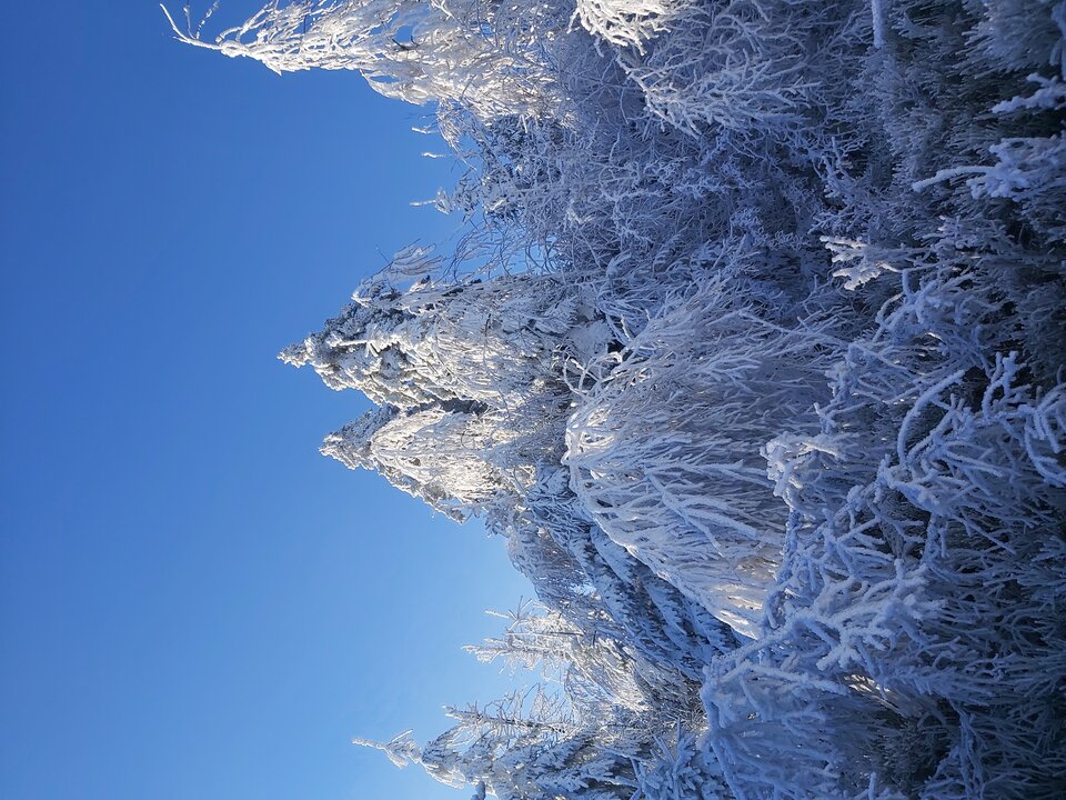 9a582e78-d6b9-4a69-bf5f-e585d1a27e2e-1_all_9.jpg - Franekzewsi