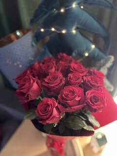IMG_6090.jpeg