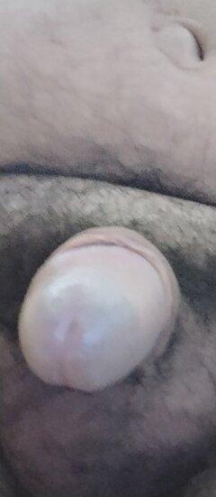 IMG_20260104_120410.jpg