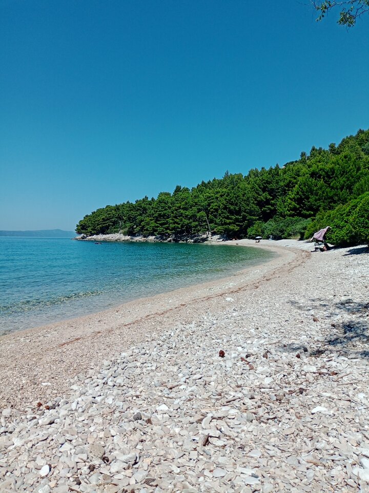 2025-06-23-10-51-56-347 — kopia.jpg - DyskretnyNaturysta