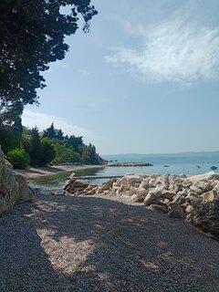 IMG_20250616_101818_316.jpg