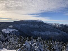 IMG_0730.jpeg