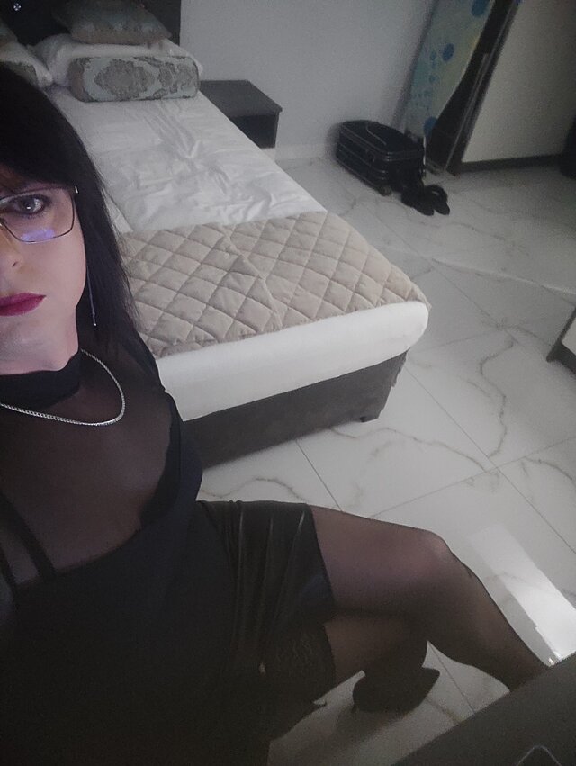 wikitrany81