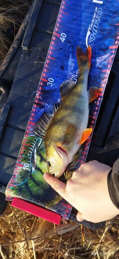 IMG_20240309_161825.jpg