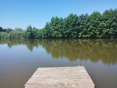 IMG_20240720_134135585.jpg