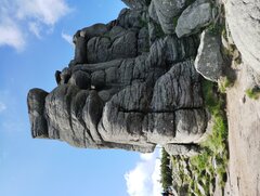 IMG_20240623_091515966.jpg