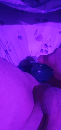 20241208_013616.jpg