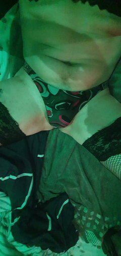 20241213_071101.jpg