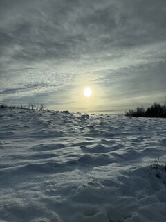IMG_7720.jpeg