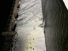 IMG_1695.jpeg