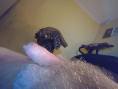 IMG_20260109_234329254_MFNR.jpg